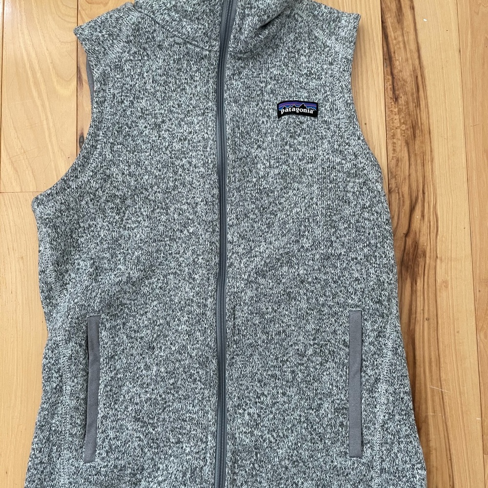 light gray Patagonia vest